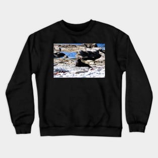 Nouvelle Zélande - Péninsule de Kaikura Crewneck Sweatshirt